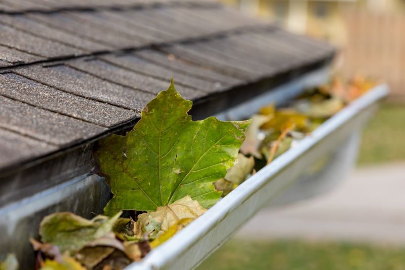 Clean Gutters with Downspouts